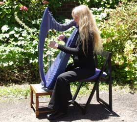 26 string harp being played