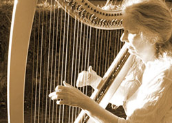 performance tips for playing the harp
