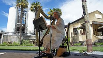 Wedding music harp and voice outdoor wedding