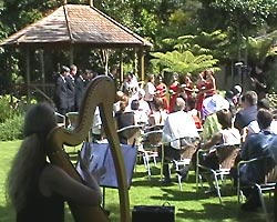 garden wedding harp du vin