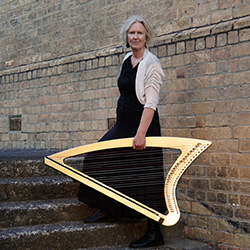 Gold Camac harp shining in the sun