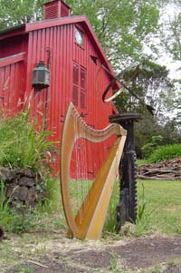 gold hire harp by barn