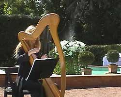 Kellihers harp music for ambience at wedding