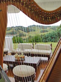 Waiheke wedding harp strings