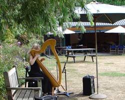 Wedding harp music outdoor garden wedding